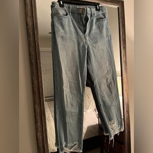 YMI Distressed jeans